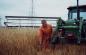 Clifford Scott in Oat Field with Swather