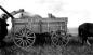 Grain Wagon at the 'Lyon Cross Ranch'