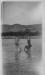Walter Crittall and Russell; two boys in old-fashioned swimming costumes with two dogs