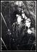 Bert Harnett, George Mitchell and Dr. J.P Windish taking radiation sample at Iron Springs