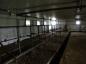 The more recent milking area on Richfield farm