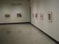 Installation view of "Campbell Tinning: The Newfoundland Series" at the Art Gallery of Swift Current