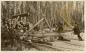 Men loading logs onto a large wooden sled on the Carrot River.