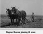 Magnus Meason plowing 80 acres.
