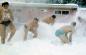 Swimmers Jumping into Snow After Soaking in Hot Swimming Pool at Skoglund Hotsprings Resort.