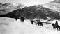 Pack horses travelling through snow in the mountains