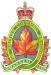 The British Columbia Dragoons badge.