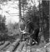 Kenneth Van Tassell and Elias Sollows cutting wood in the winter of 1958. 