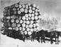 A 'brag load' of logs hauled by a team of four horses 