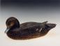 Black Duck Carved by Les Wilson