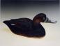 Lesser Scaup adult female Carved by Les Wilson