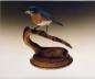 Bluebird Carved by Les Wilson