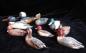 Collection of miniature waterfowl carved by George Brown