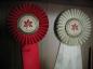 Two of many prize winning ribbons won by the work of  Karl Stang
