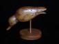 Shorebird decoy in worm eaten butternut carved by Neil Melancon