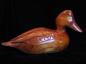 Golden Eye duck carved from Butternut wood by Paul Jay