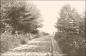 Trim Road looking north toward Navan Village (early 1900s)