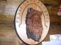 Viking Head Bark Carving by Lucy Ingram, Red Deer,AB