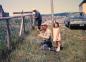 Tom Porter and Peter Chaulk repairing Cod Traps as young Joyce Ryder (Porter) watches on