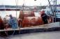 Crab fishing vessel