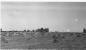 Stooking Grain, Tamblyn Farm, 5699 Gamsby Road, Orono Ontario, Circa 1936
