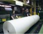 No. 2 paper machine workers standing up by two rolls of paper. 