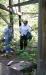 Visitors examine dilapitated trestle