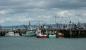Digby Fishing Fleet at the Ferry/Fishermen's Wharf