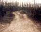 The trail winds among the burned out forest area east of Ashern, a legacy of the1989 wildfires.