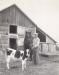 Ed Laing in front of his dairy barn with a horse and a stone boat used in cleaning the barn.