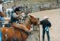 Saddle Bronc at the Chopaka Jackpot Rodeo