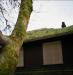 Moss Covered House in Ioco