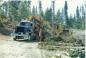 Contemporary Logging Truck