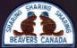 Beavers Canada badge, Sharing Sharing Sharing