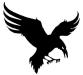 Carleton Ravens logo.