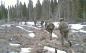 LSSR soldiers advance on a training exercise