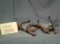 Horse shoes used by horses that woked in the mine.