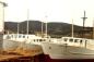 Boats tied to the wharf at Henry Vokey's shipyard in Trinity, Newfoundland.