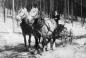 Margaret Broome with team of Percherons