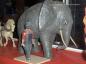 Elephant and trainer in Display of Klatt Brother's Circus
