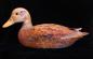 Mallard duck carved from Cedar wood by Paul Jay