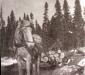 Lumberman hauling logs to river 