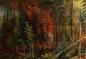 Fire in Elkwater, Cypress Hills Park, Alberta