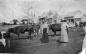 Women at the George Woods farm in Farrellton, circa 1890