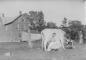 Milking a cow near Farm Point, circa 1900