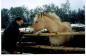 Laft Hus Member, Bill Macrae & Norwegian Fjord Horse