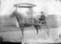Horse racing was an important feature of the Shawville Fair