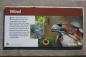 Interpretive sign for voice of the wind at Quiet Voices Wildflower Trail in Spruce Woods Prov. Park