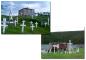 French Graveyard in Croque, Newfoundland
