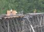 Applying plywood to top of Trestle